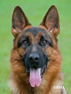 Ustinov_vom_Romerland